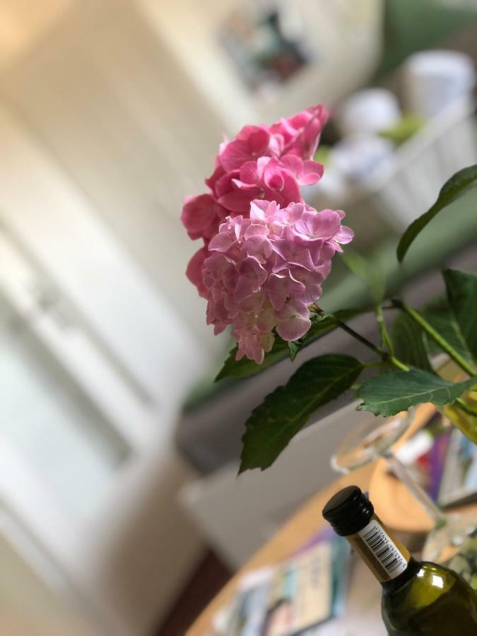 Ferienwohnungen Wyk/Foehr Wyk auf Föhr Esterno foto